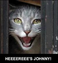LOLcats