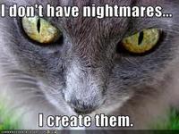LOLcats