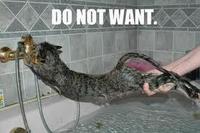 LOLcats