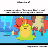 Did You Know?