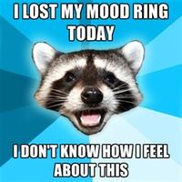 Lame Pun Coon