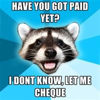 Lame Pun Coon