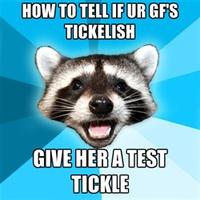Lame Pun Coon