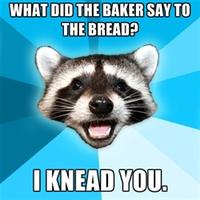 Lame Pun Coon