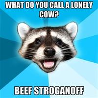 Lame Pun Coon