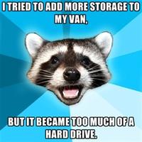 Lame Pun Coon