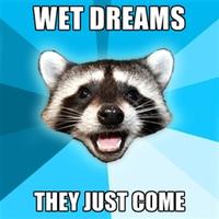 Lame Pun Coon