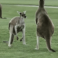 The Song of My People!