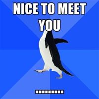 Socially Awkward Penguin