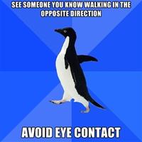 Socially Awkward Penguin