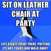 Socially Awkward Penguin