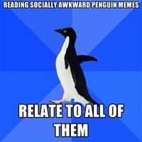 Socially Awkward Penguin