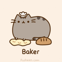 Pusheen