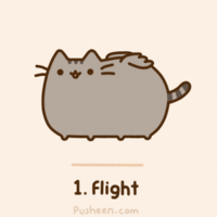 Pusheen