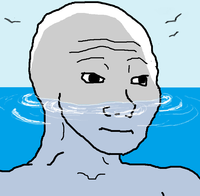 I Know That Feel Bro