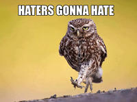 Haters Gonna Hate