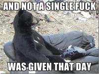 And Not a Single Fuck Was Given That Day