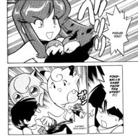 Pokebra