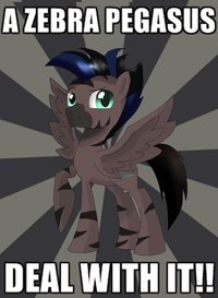 My Little Pony: Friendship is Magic