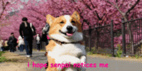 I Hope Senpai Will Notice Me