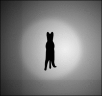 Spinning Dancer Illusion