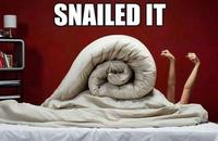 Nailed It