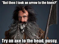 I Took an Arrow in the Knee