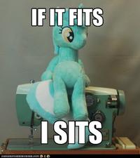 If It Fits I Sits