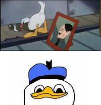 Dolan