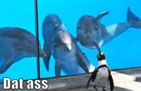 'Dat Ass