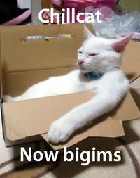 bigim