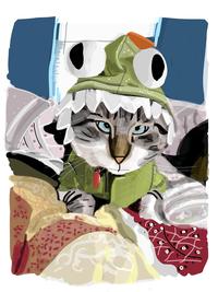 Cats