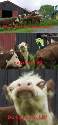 Do You Even Lift?