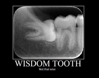Demotivational Posters