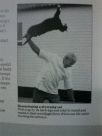 Cats