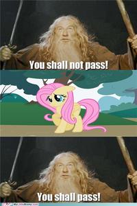 My Little Pony: Friendship is Magic