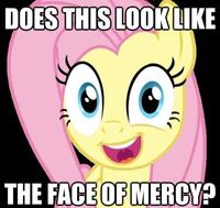 Pony Reactions