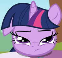 Pony Reactions