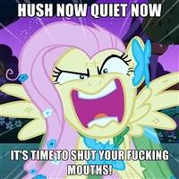 Pony Reactions