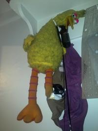 Fired Big Bird / Mitt Romney Hates Big Bird