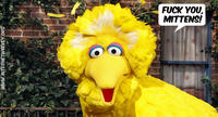 Fired Big Bird / Mitt Romney Hates Big Bird