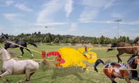 Fired Big Bird / Mitt Romney Hates Big Bird