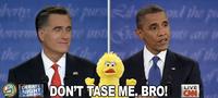 Fired Big Bird / Mitt Romney Hates Big Bird