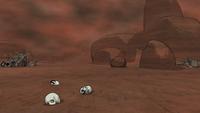 af2.jpg