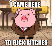 Came Here To Fuck Bitches
