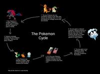The X Cycle/Sonic cycle