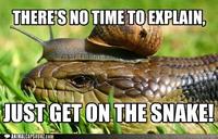 There's No Time To Explain