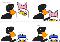 Dolan