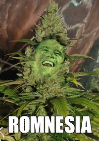 Mitt Romney