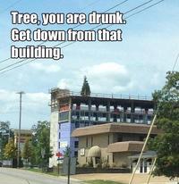 Go Home, You Are Drunk